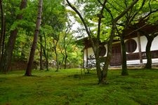 Tourist destination images of Iyama Hōfuku-ji Temple(3)