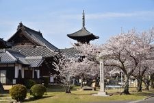 Tourist destination images of Yokeiji Temple(2)