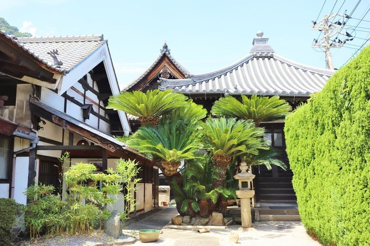 Ankokuji Temple