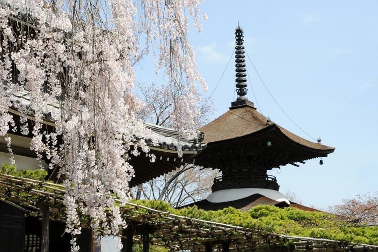 Tourist destination images of Akagibō Temple(3)