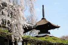 Tourist destination images of Akagibō Temple(3)