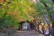 Tourist destination images of Jōroku-ji Temple(4)