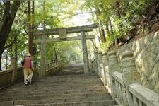 Tourist destination images of Hashikura-ji Temple(1)