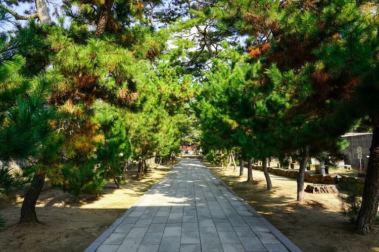 Sanuki Kokubunji Temple