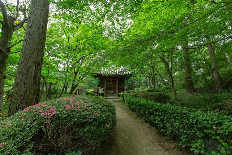 Shirafune-ji Temple