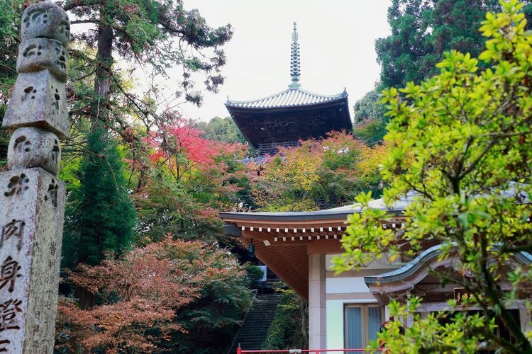 Nishiyama Koryuji Temple