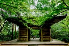 Tourist destination images of Nishiyama Koryuji Temple(2)