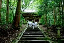 Tourist destination images of Nishiyama Koryuji Temple(4)