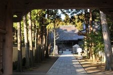 Tourist destination images of Tosa Kokubunji Temple(2)