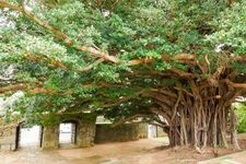 Tourist destination images of Former Sugenji Stone Gate(1)