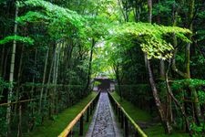 大徳寺高桐院の観光地画像(1)