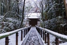 大徳寺高桐院の観光地画像(4)