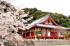 Tourist destination images of Kongōji Temple(3)