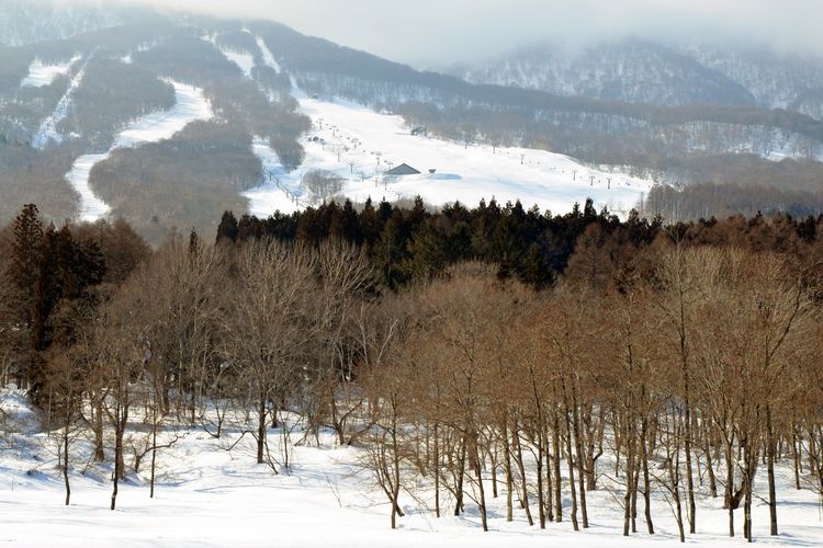 Myoko Suganohara Ski Resort