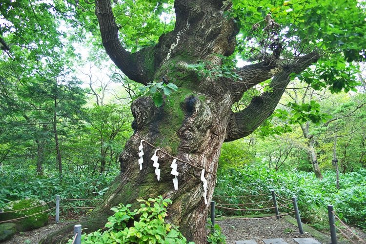 Nasu Onsen