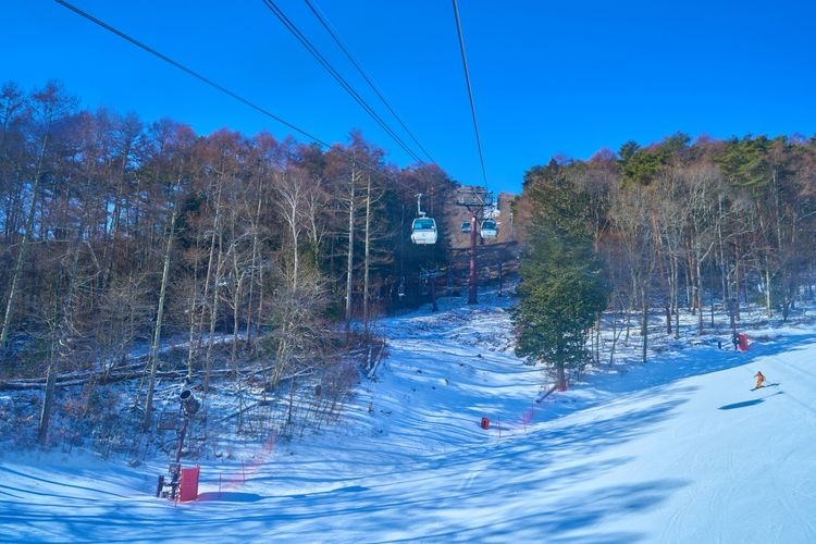 Fujimi Panorama Resort
