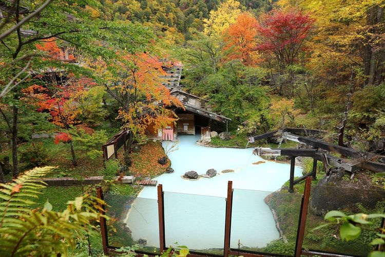 Shirahone Onsen