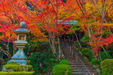 Tourist destination images of Shojiji Temple(5)