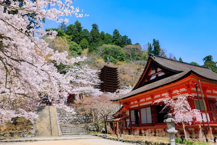 Tourist destination images of Sakurayama Shrine(2)