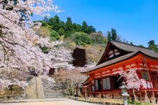 Tourist destination images of Sakurayama Shrine(2)