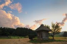 Tourist destination images of Koshin Shrine(5)