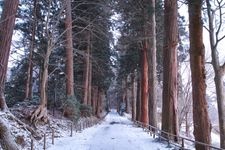 Tourist destination images of Chusonji Temple(5)