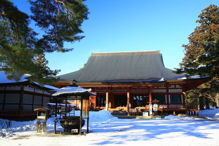 【平泉】毛越寺