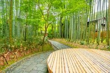 修善寺溫泉的觀光景點圖片(2)