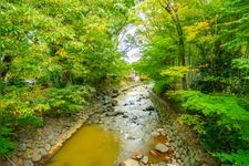 修善寺溫泉的觀光景點圖片(3)