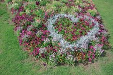 Tourist destination images of Satoyama Garden(4)