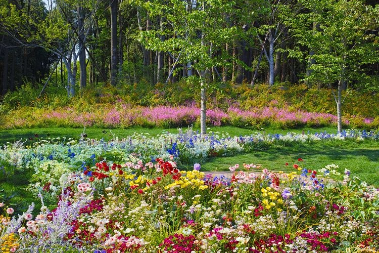 Satoyama Garden