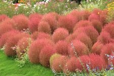Tourist destination images of Satoyama Garden(2)