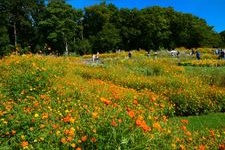 Tourist destination images of Satoyama Garden(2)