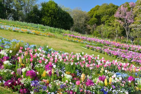 Satoyama Garden