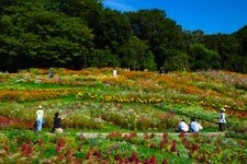 Tourist destination images of Satoyama Garden(3)