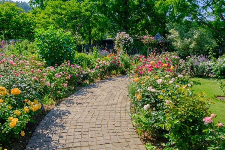 Tourist destination images of English Garden Rozanberry Tawada(2)