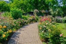 Tourist destination images of English Garden Rozanberry Tawada(2)