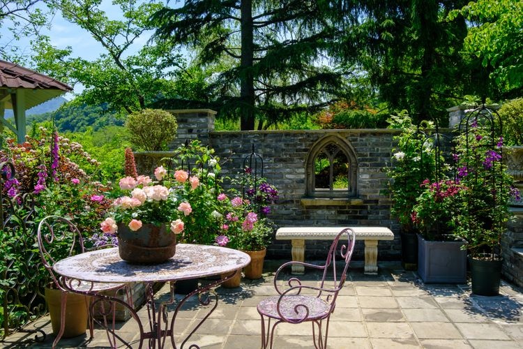 English Garden Rozanberry Tawada