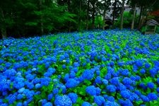 雲昌寺の観光地画像(3)