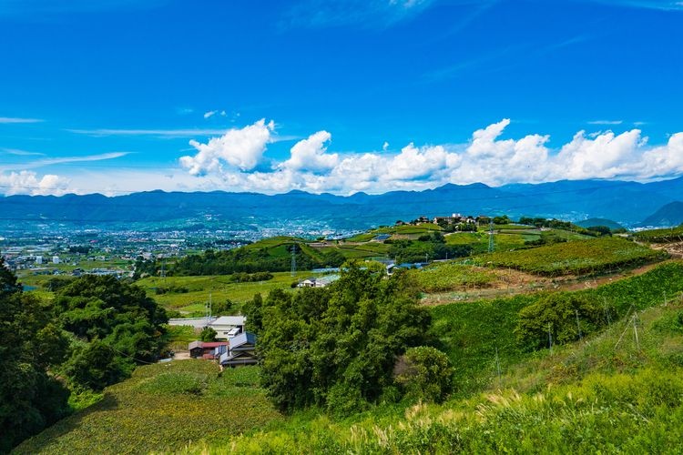 Katsunuma Budou no Oka (Katsunuma Grape Hill)