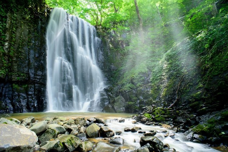 Tourist destination images of Kameda Fudo Waterfall(2)