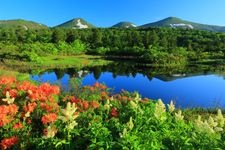 Tourist destination images of Suiren-numa (Water Lily Pond)(1)