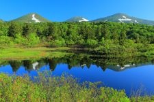 Tourist destination images of Suiren-numa (Water Lily Pond)(2)