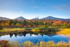 Tourist destination images of Suiren-numa (Water Lily Pond)(3)