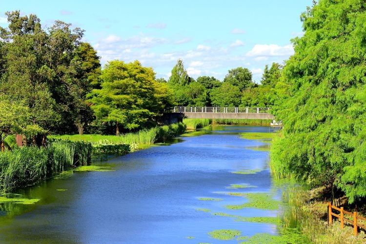 Hamana Lake Garden Park