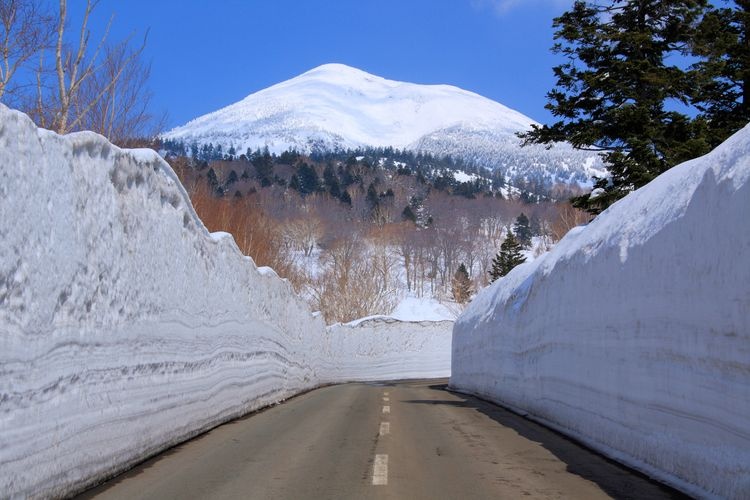 Hakkoda Snow Corridor