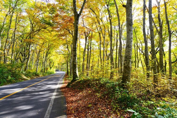 Daisen Circular Road