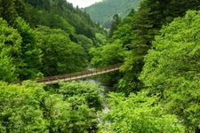 石舟橋（秋川渓谷）の観光地画像(1)