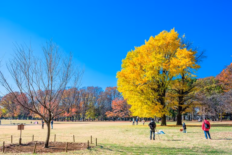 Koganei Park