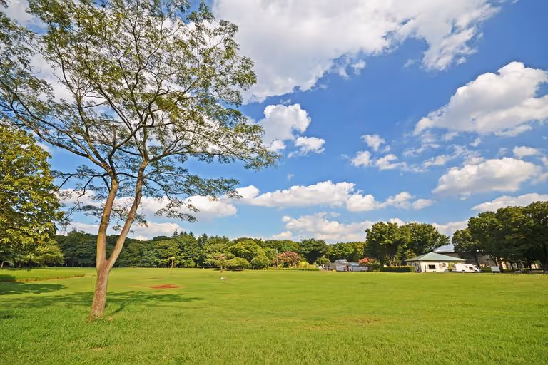 Koganei Park